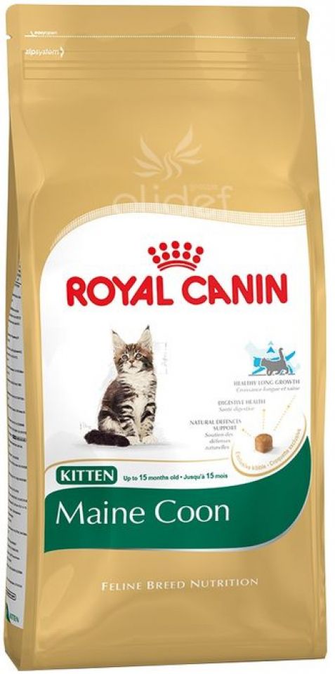 Royal Canin Maine Coon Kitten 400G / ROYAL CANIN® Maine Coon ð± Kitten