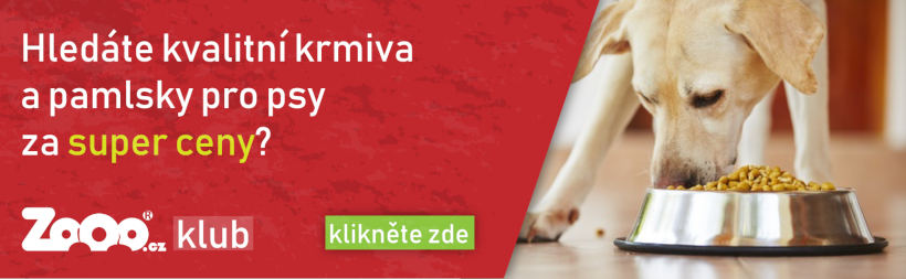 Obrázek 0