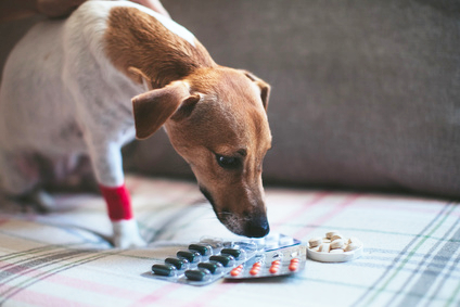unguente de încălzire cu osteochondroză cele mai bune pastile pentru dureri articulare