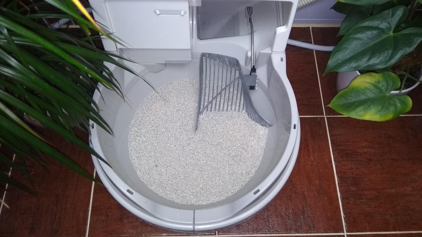 Jak Catgenie funguje