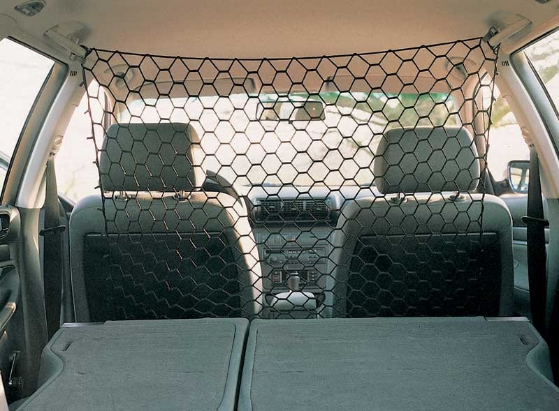 Jak přepravit psa v autě Přeprava psa v autě