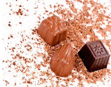 Psi a čokoláda, čokoláda u psů