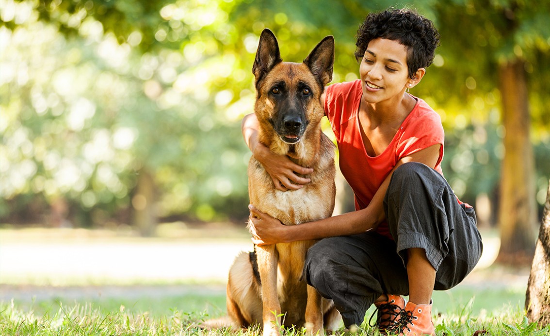 Psí ohradníky, ploty pro psy