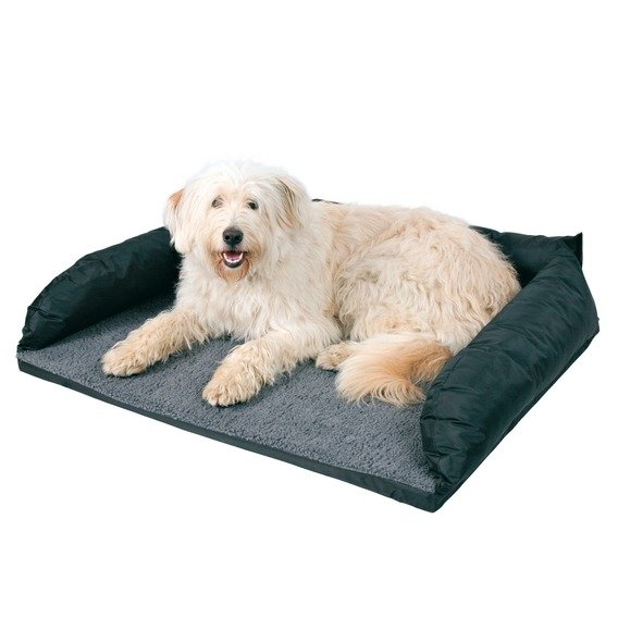 Potřeby pro psa do auta