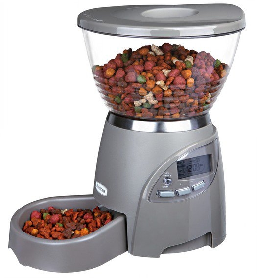 Jaké složení by mělo mít krmivo pro psy